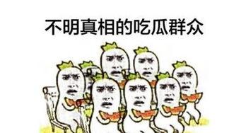 吃瓜群众之后
