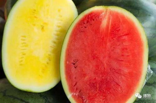 可以吃的瓜图片,探寻美味瓜类的多样魅力