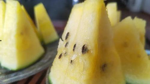 最新吃瓜密码,揭秘明星幕后真相