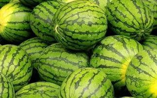 围观吃瓜窜稀,揭秘网络热议背后的“窜稀”现象