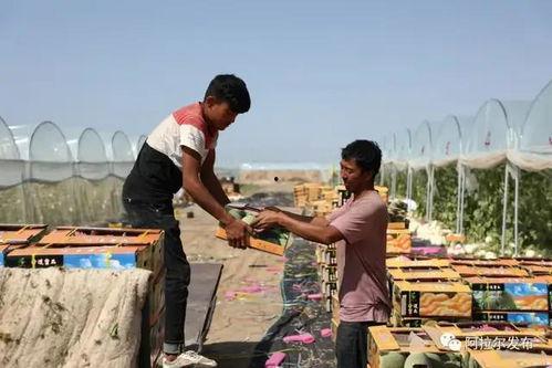 吃瓜群众迅速就位,揭秘娱乐圈最新热点！