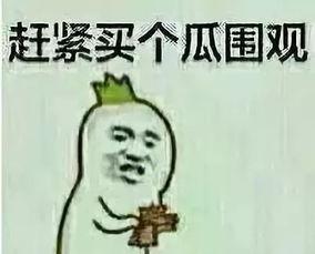 9494吃瓜群众,揭秘网络热议背后的真相