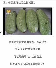 吃白瓜嘴巴麻木,揭秘吃白瓜嘴巴麻木的神奇现象