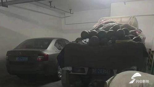 东营最新吃瓜视频,揭秘当地热门事件背后的真相