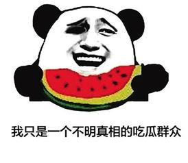 吃瓜群众小哈哈,揭秘娱乐圈那些事儿