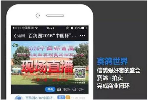 吃瓜直播间变现,揭秘网络红人的变现之路