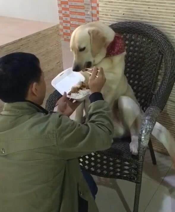 小孩喂狗吃瓜,小宝贝与狗狗共享甜蜜瓜果时光