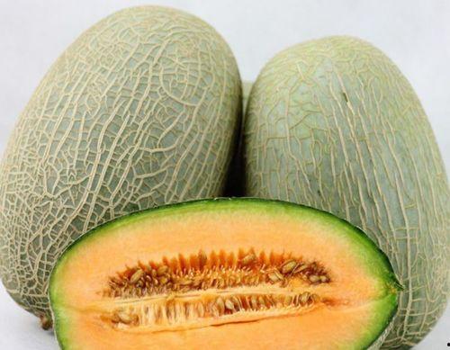 哈密瓜的皮可以给鸡吃吗,鸡的天然美味佳肴探索