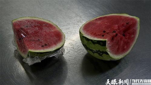 吃瓜影视菌,吃瓜影视菌带你揭秘娱乐圈那些事儿