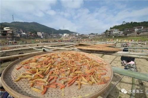 海衫文化吃瓜,揭秘网络“吃瓜”现象背后的社会心理