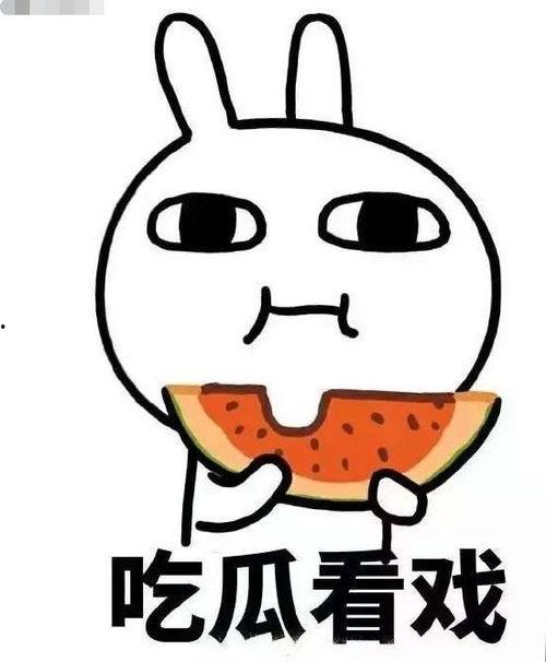 师父的吃瓜日常,揭秘佛门中的酸甜苦辣