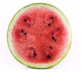 如何科学吃瓜,揭秘科学吃瓜的五大秘诀