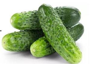 免费吃瓜群众黄瓜,揭秘瓜农的甜蜜生活