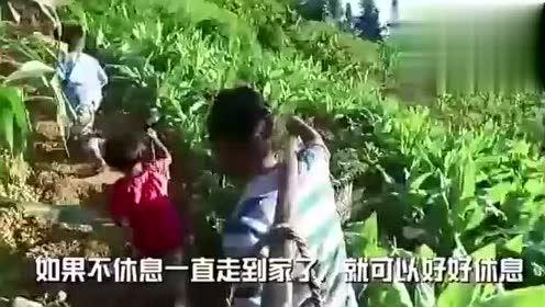 德州相亲吃瓜视频,吃瓜群众围观甜蜜瞬间