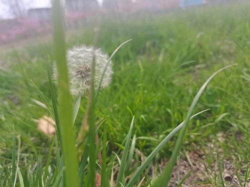 秋风冬雪吃瓜,一场别开生面的冬日食趣之旅