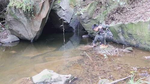 农村小溪捕鱼吃瓜,捕鱼品瓜，悠然自得乡村生活