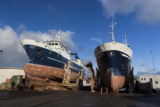 海轮斯吃瓜,揭秘娱乐圈背后的秘密与真相