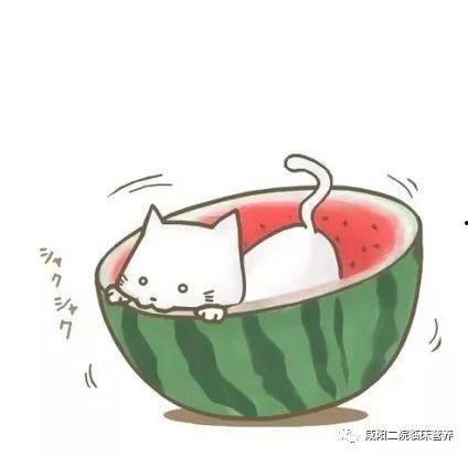 沈明珠吃瓜系统动画,揭秘娱乐圈幕后风云