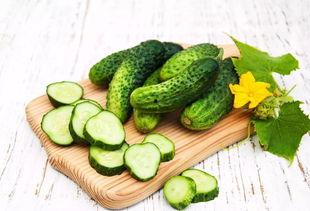 榆瓜是吃的吗,美味可口的食用佳品揭秘