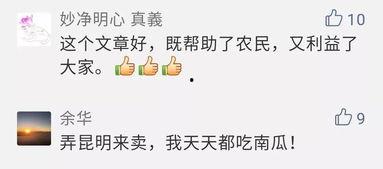 眉村吃瓜群众,揭秘乡村生活百态